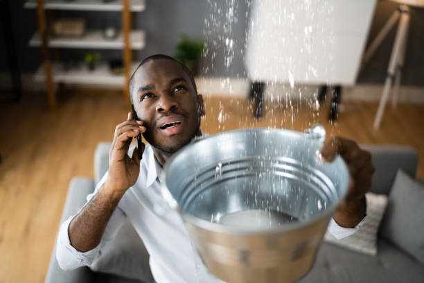 Best Ceiling water damage repair  in West Milton, OH