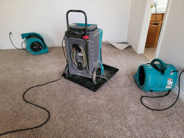  West Milton, OH Water damage restoration Pros