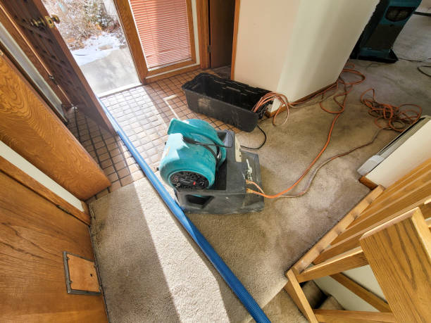 Best Ceiling water damage repair  in West Milton, OH