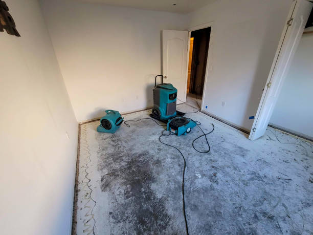 Water damage restoration experts in OH