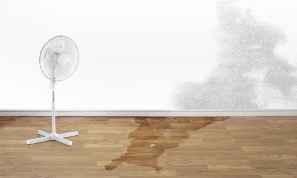 Best Flooded house restoration  in West Milton, OH
