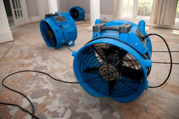 Best Mold removal after water damage  in West Milton, OH